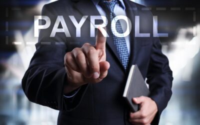Looking for Online Payroll Services for Business?