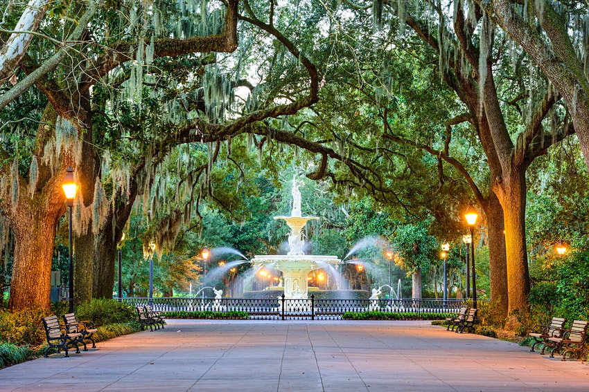 Savannah Garden